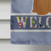 Briard Brown Welcome Flag Canvas House Size BB5663CHF