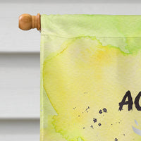 Aquarius Zodiac Sign Flag Canvas House Size BB7315CHF