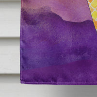 Halloween Sweets Ice Cream Skull Flag Canvas House Size BB7464CHF