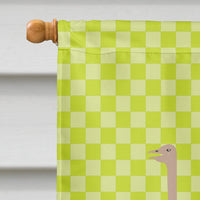 Common Ostrich Green Flag Canvas House Size BB7750CHF