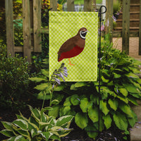 Chinese Painted or King Quail Green Flag Garden Size