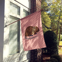 Coypu Nutria River Rat Pink Check Flag Canvas House Size BB7879CHF