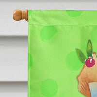 Summer Cocktail Green Polkadot Flag Canvas House Size BB8230CHF