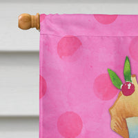 Summer Cocktail Pink Polkadot Flag Canvas House Size BB8234CHF