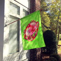 Crab Green Polkadot Flag Canvas House Size BB8265CHF