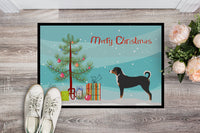 Appenzeller Sennenhund Christmas Indoor or Outdoor Mat 24x36 BB8450JMAT
