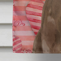 Chocolate Labrador Love Flag Canvas House Size BB9470CHF