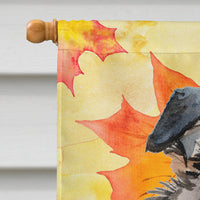 Australian Shepherd Fall Flag Canvas House Size BB9502CHF