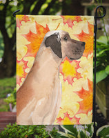 Fawn Natural Great Dane Fall Flag Garden Size BB9524GF