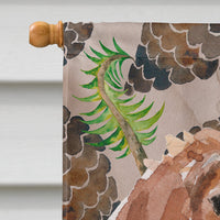 Brittany Spaniel Pine Cones Flag Canvas House Size BB9574CHF