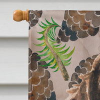 Brown Parti Pine Cones Flag Canvas House Size BB9587CHF