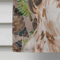 Brown Parti Pine Cones Flag Canvas House Size BB9587CHF