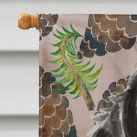Black Parti Pine Cones Flag Canvas House Size BB9588CHF