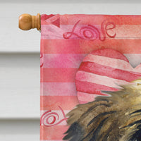 Brussels Griffon Love Flag Canvas House Size BB9774CHF