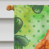 Cocker Spaniel St Patrick's Flag Canvas House Size BB9880CHF