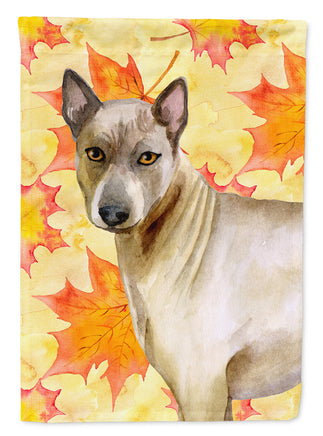 Caroline's Treasures, Carolines Treasures, garden flags, fall flags, yard flags, outdoor décor, outdoor flags, american made flags, flags made in the US