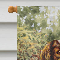 Springer Spaniels by Daphne Baxter Flag Canvas House Size BDBA0288CHF