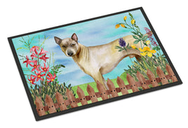 Caroline's Treasures, Carolines Treasures, spring flags, outdoor décor, outdoor flags, american made flags, flags made in the US