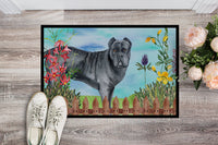 Cane Corso Spring Indoor or Outdoor Mat 18x27 CK1256MAT