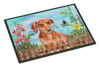 Red Dachshund Spring Indoor or Outdoor Mat 18x27 CK1269MAT