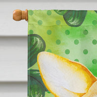 Corgi Shamrocks Flag Canvas House Size CK1397CHF