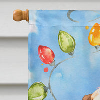 Christmas Lights Boxer Flag Canvas House Size CK2468CHF