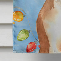 Christmas Lights Boxer Flag Canvas House Size CK2468CHF