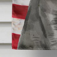 British Shorthair American Flag Flag Canvas House Size CK3033CHF
