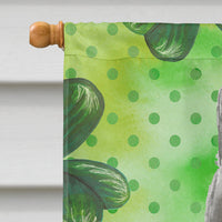 British Shorthair Shamrock Flag Canvas House Size CK3063CHF