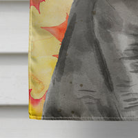 British Shorthair Fall Leaves Flag Canvas House Size CK3078CHF