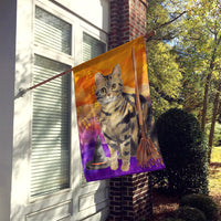 American Shorthair Brown Tabby Halloween Flag Canvas House Size CK3178CHF