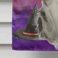 Ragamuffin Halloween Flag Canvas House Size CK3186CHF