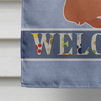 Brussels Griffon Welcome Flag Canvas House Size CK3686CHF