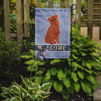 Brussels Griffon Welcome Flag Garden Size CK3686GF