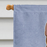 Brown Prague Ratter Welcome Flag Canvas House Size CK3700CHF