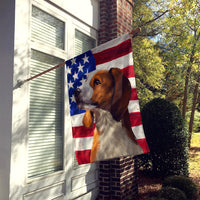 American English Coonhound American Flag Flag Canvas House Size CK6397CHF