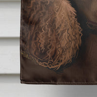 American Water Spaniel  American Flag Flag Canvas House Size CK6402CHF