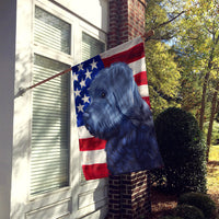 Bouvier des Flandres American Flag Flag Canvas House Size CK6453CHF
