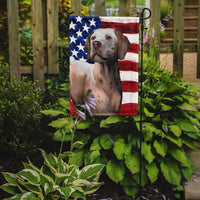 Braque du Bourbonnais American Flag Flag Garden Size CK6458GF