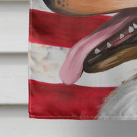Collie Smooth Dog American Flag Flag Canvas House Size CK6493CHF