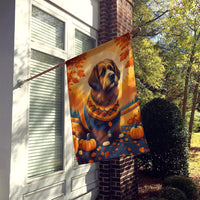 Briard Fall House Flag
