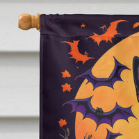 Belgian Malinois Witchy Halloween House Flag