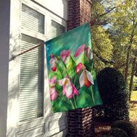 Minnesota Pink and White Lady�s Slippers in Watercolor House Flag