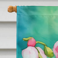 Minnesota Pink and White Lady�s Slippers in Watercolor House Flag