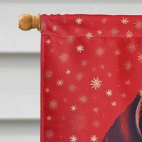 Dachshund Holiday Christmas House Flag