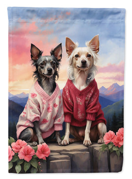 Caroline's Treasures, Carolines Treasures, house flags, dog flags, pet flags, porch flags, outdoor décor, outdoor flags, american made flags, flags made in the US