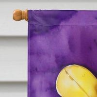 Fleur de lis Mardi Gras House Flag
