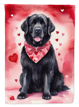 Newfoundland My Valentine House Flag