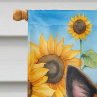 Belgian Tervuren in Sunflowers House Flag
