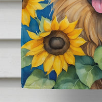Belgian Tervuren in Sunflowers House Flag